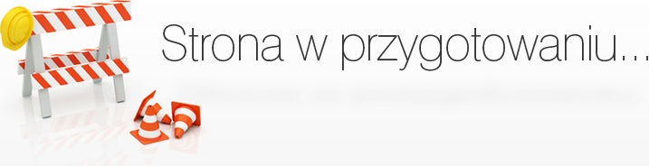 Domena obs�ugiwana przez Autoeksperci.pl